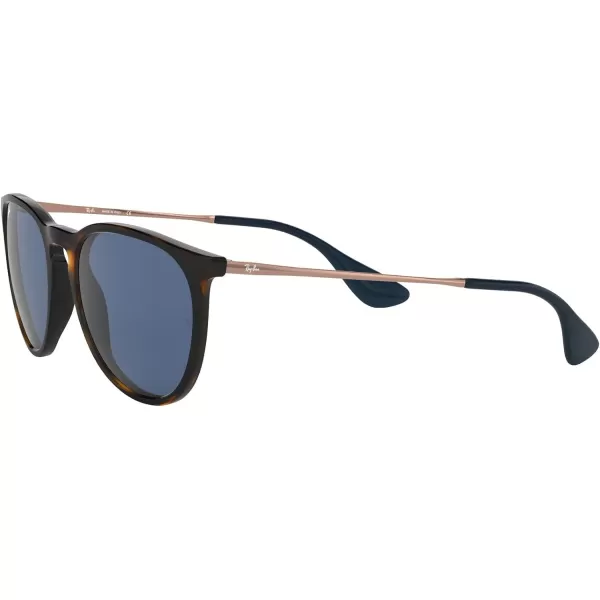 RayBan Rb4171 Erika Round SunglassesHavanaDark Blue