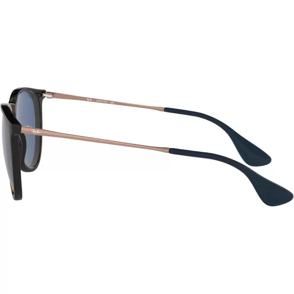 RayBan Rb4171 Erika Round SunglassesHavanaDark Blue