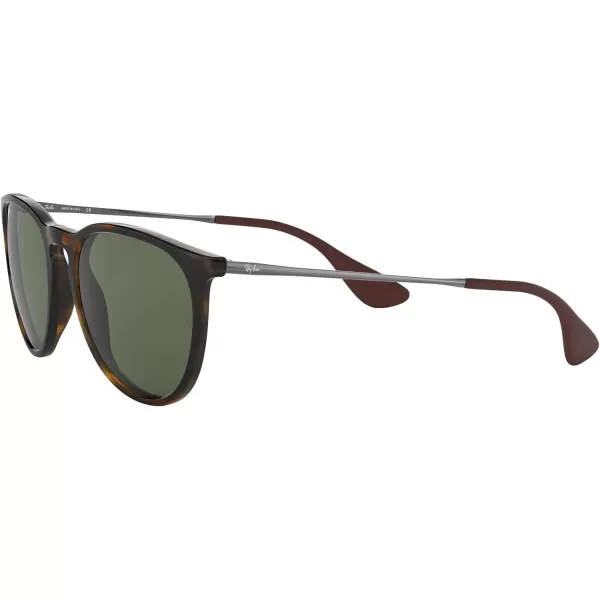 RayBan Rb4171 Erika Round SunglassesLight HavanaDark Green