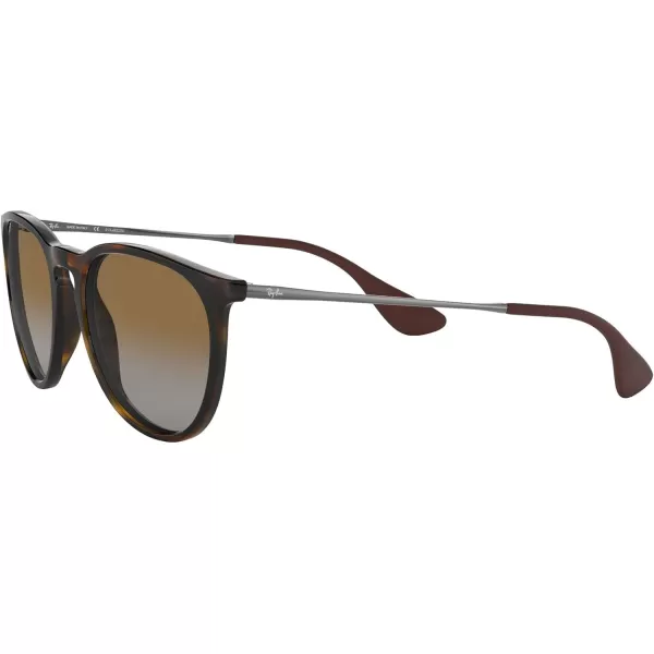 RayBan Rb4171 Erika Round SunglassesLight HavanaPolarized Grey Gradient Brown