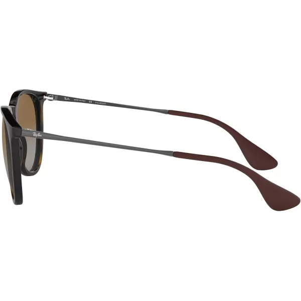 RayBan Rb4171 Erika Round SunglassesLight HavanaPolarized Grey Gradient Brown