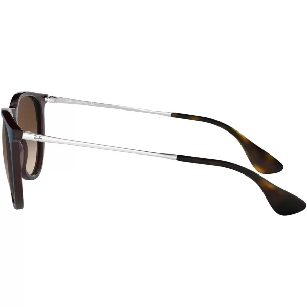 RayBan Rb4171 Erika Round SunglassesMirrored Blue on Light BrownBrown Gradient Dark Brown