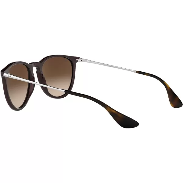 RayBan Rb4171 Erika Round SunglassesMirrored Blue on Light BrownBrown Gradient Dark Brown