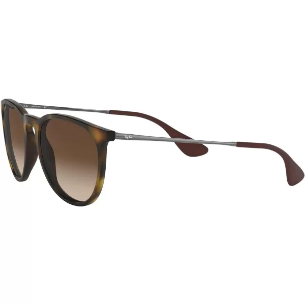 RayBan Rb4171 Erika Round SunglassesRubber HavanaBrown Gradient Dark Brown