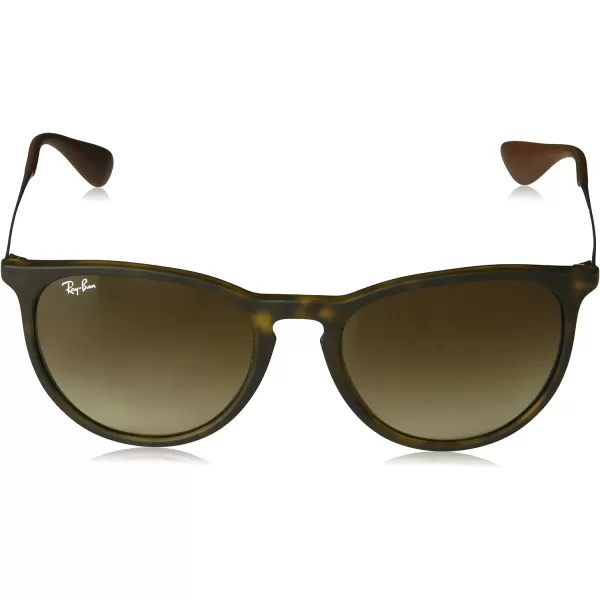 RayBan Rb4171 Erika Round SunglassesTortoise