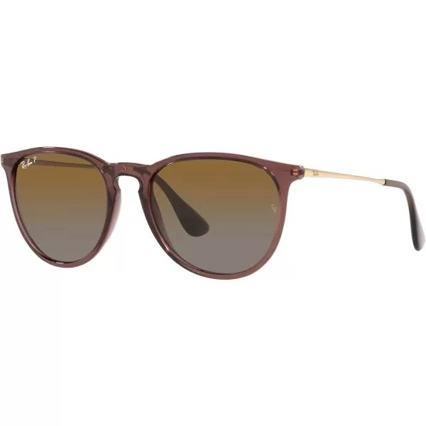 RayBan Rb4171 Erika Round SunglassesTransparent Dark BrownPolarized Brown Gradient