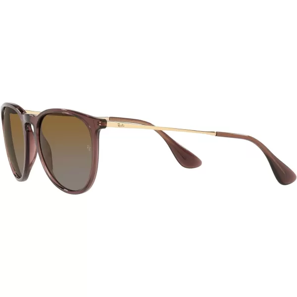 RayBan Rb4171 Erika Round SunglassesTransparent Dark BrownPolarized Brown Gradient