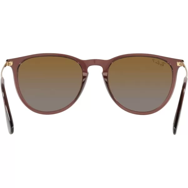 RayBan Rb4171 Erika Round SunglassesTransparent Dark BrownPolarized Brown Gradient