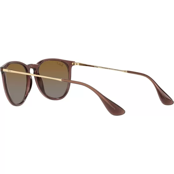 RayBan Rb4171 Erika Round SunglassesTransparent Dark BrownPolarized Brown Gradient