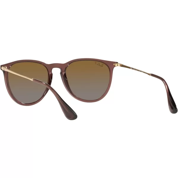 RayBan Rb4171 Erika Round SunglassesTransparent Dark BrownPolarized Brown Gradient