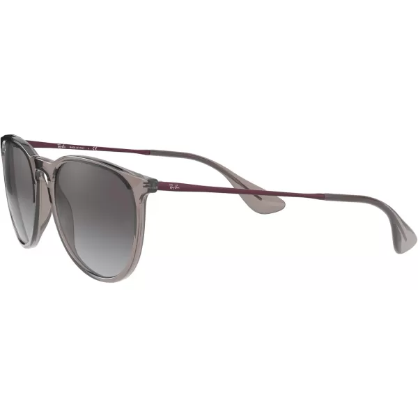 RayBan Rb4171 Erika Round SunglassesTransparent GreyLight Grey Gradient Dark Grey