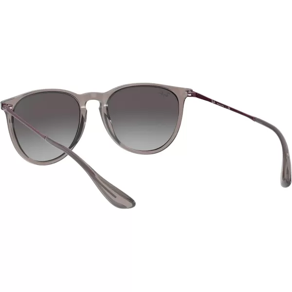 RayBan Rb4171 Erika Round SunglassesTransparent GreyLight Grey Gradient Dark Grey