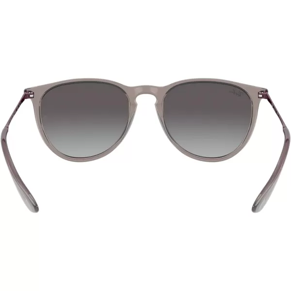 RayBan Rb4171 Erika Round SunglassesTransparent GreyLight Grey Gradient Dark Grey