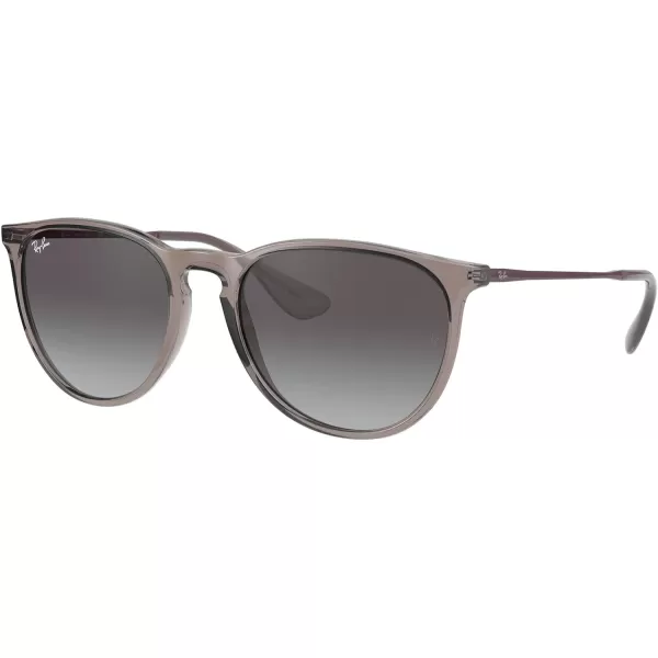 RayBan Rb4171 Erika Round SunglassesTransparent GreyLight Grey Gradient Dark Grey