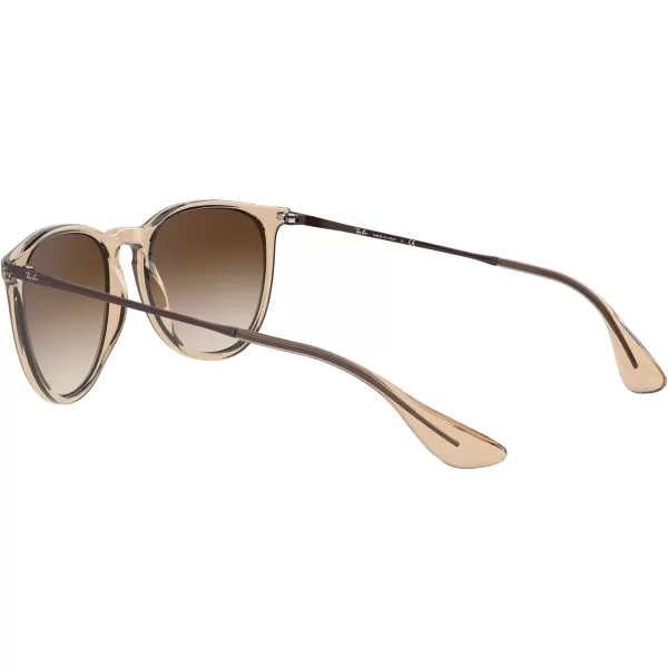 RayBan Rb4171 Erika Round SunglassesTransparent Light BrownBrown Gradient Dark Brown