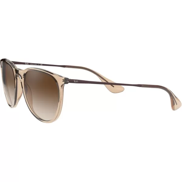 RayBan Rb4171 Erika Round SunglassesTransparent Light BrownBrown Gradient Dark Brown