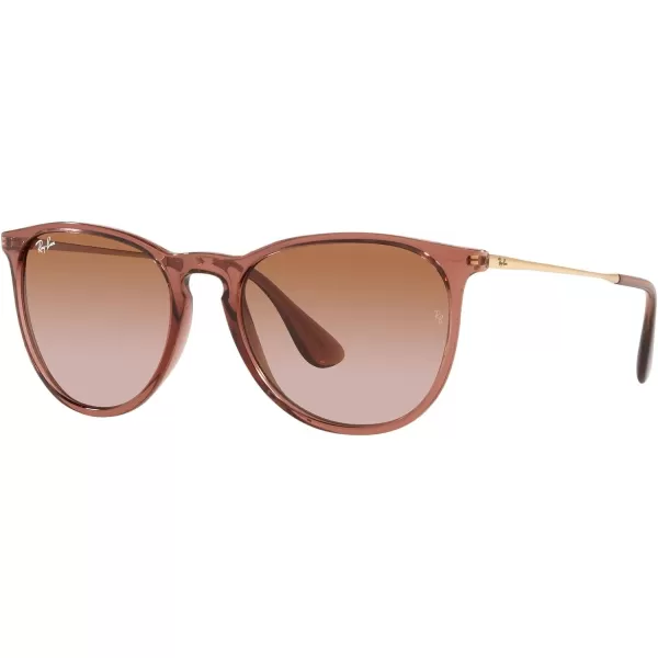 RayBan Rb4171 Erika Round SunglassesTransparent Light BrownGradient Brown