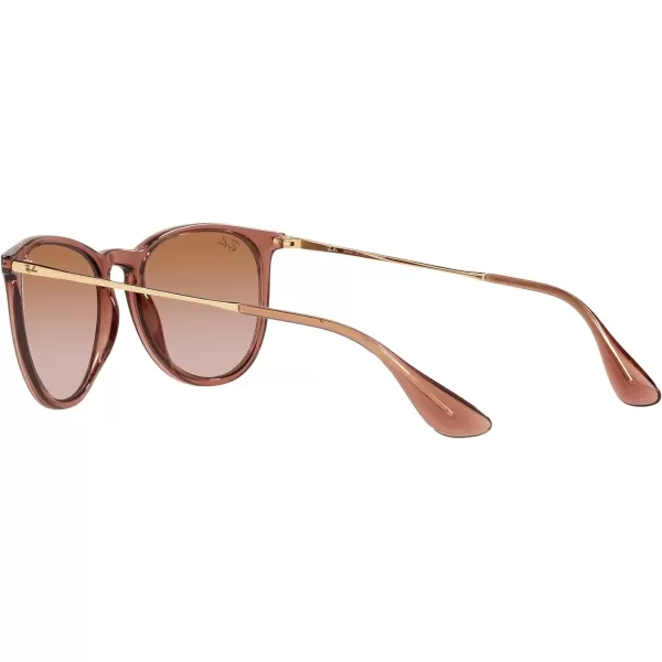 RayBan Rb4171 Erika Round SunglassesTransparent Light BrownGradient Brown