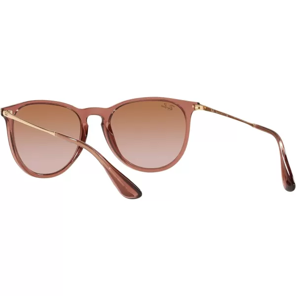 RayBan Rb4171 Erika Round SunglassesTransparent Light BrownGradient Brown