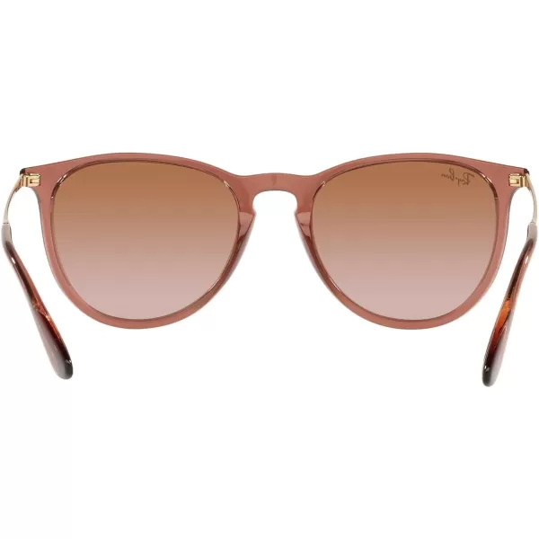 RayBan Rb4171 Erika Round SunglassesTransparent Light BrownGradient Brown