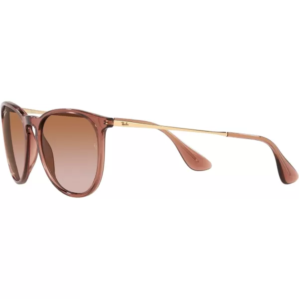 RayBan Rb4171 Erika Round SunglassesTransparent Light BrownGradient Brown