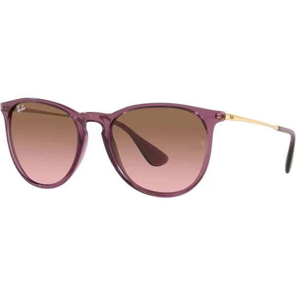 RayBan Rb4171 Erika Round SunglassesTransparent VioletPink Gradient Brown