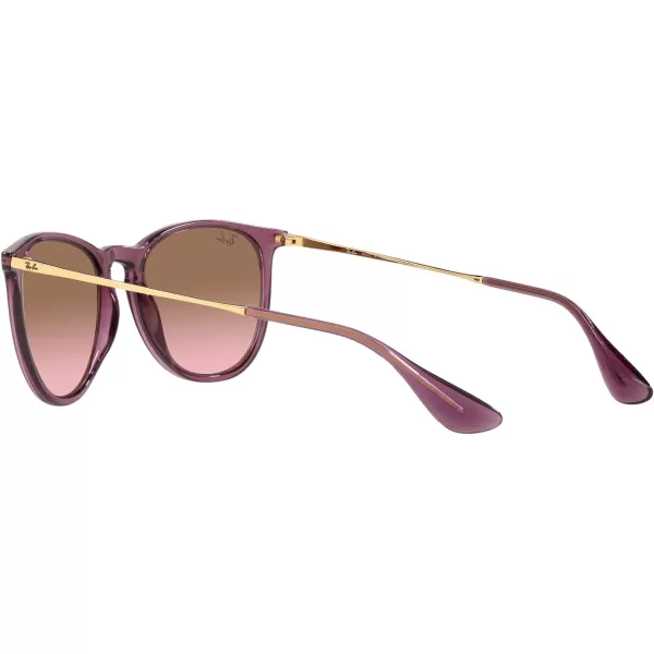 RayBan Rb4171 Erika Round SunglassesTransparent VioletPink Gradient Brown