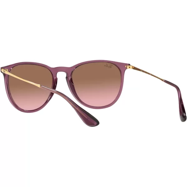 RayBan Rb4171 Erika Round SunglassesTransparent VioletPink Gradient Brown