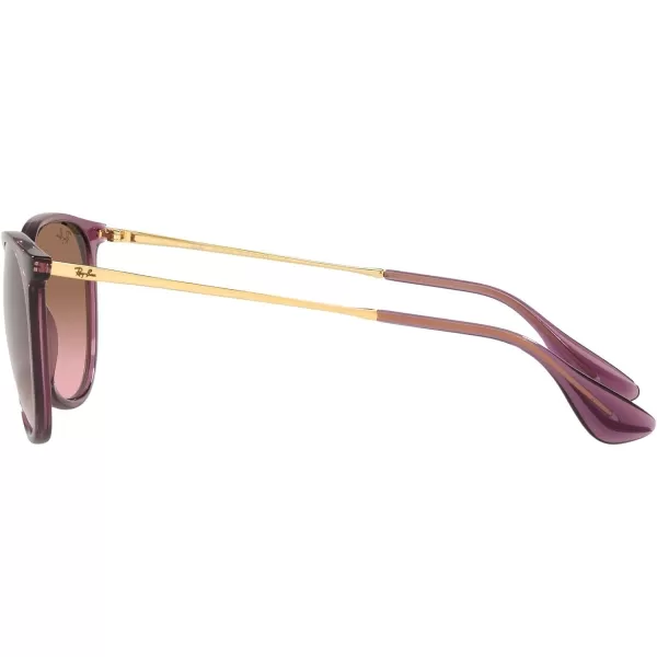 RayBan Rb4171 Erika Round SunglassesTransparent VioletPink Gradient Brown