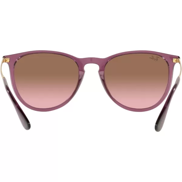 RayBan Rb4171 Erika Round SunglassesTransparent VioletPink Gradient Brown