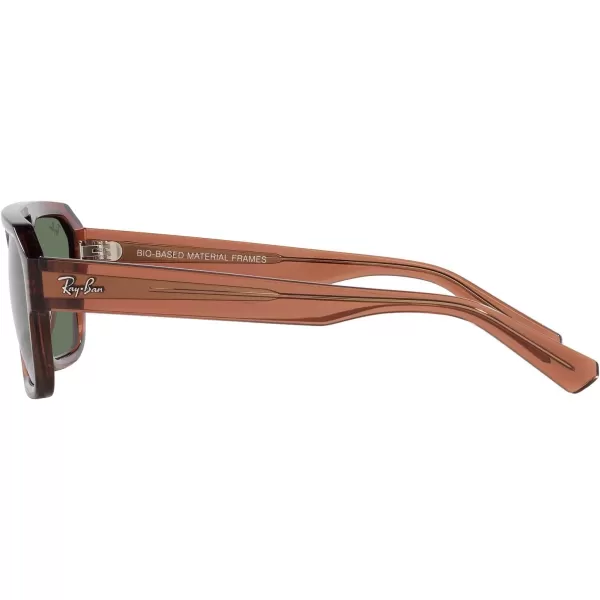 RayBan Rb4397 Corrigan Square SunglassesTransparent BrownDark Green