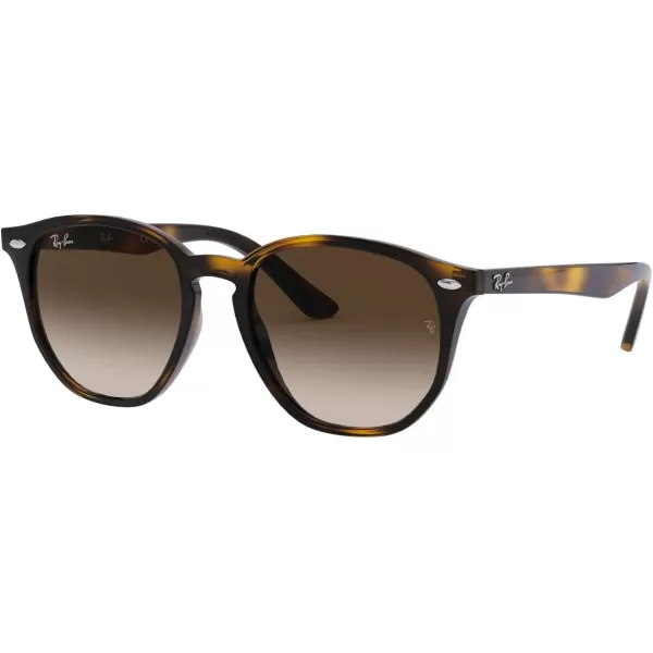 RayBan Rj9070s Round SunglassesHavanaBrown Gradient Dark Brown