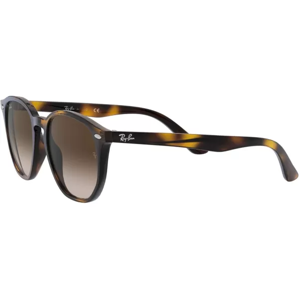 RayBan Rj9070s Round SunglassesHavanaBrown Gradient Dark Brown