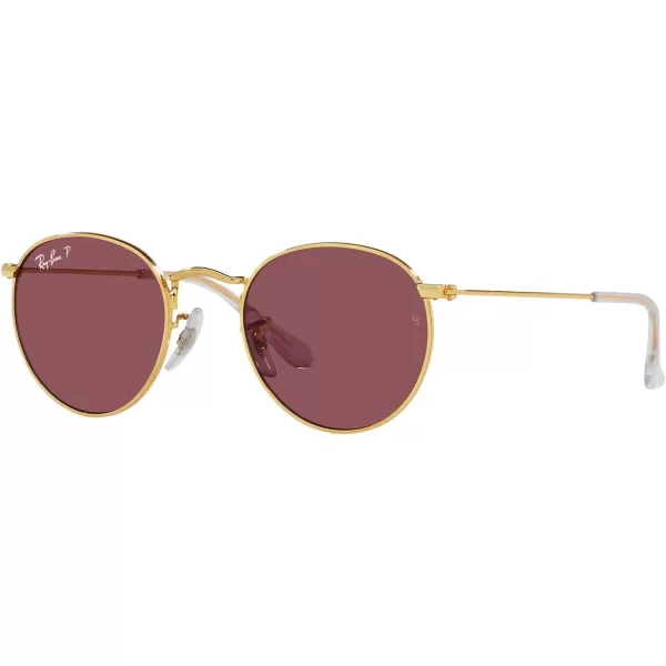 RayBan Rj9547s Metal Round SunglassesLegend GoldPurple Polarized