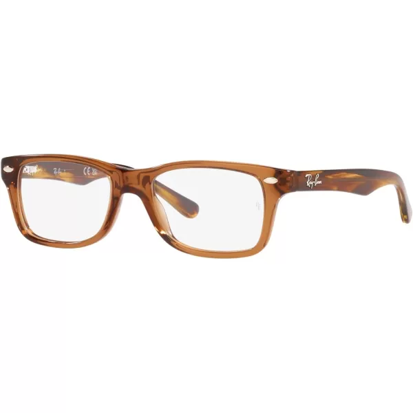 RayBan Ry1531 Square Prescription Eyeglass FramesTransparent BrownDemo Lens