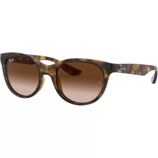 RayBan Child Sunglasses Havana Frame Dark Brown Lenses 47MMHavanaBrown Gradient Dark Brown