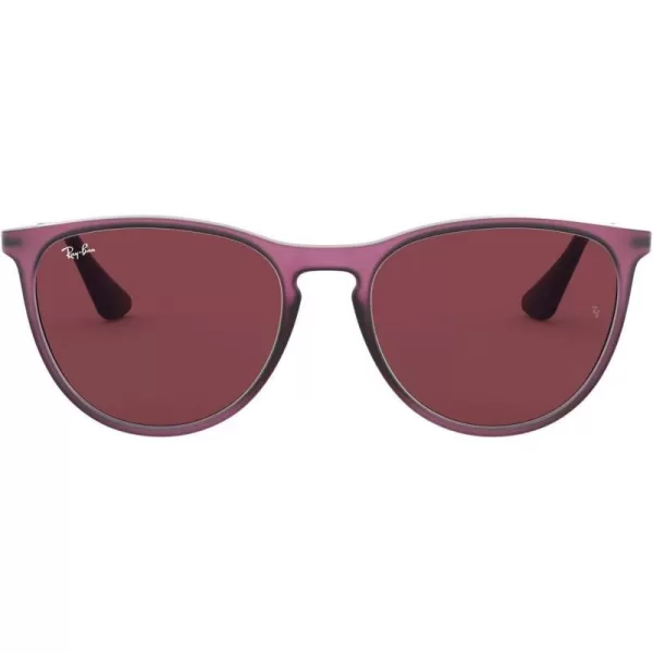 RayBan Junior Kids RJ9060s Erika Round SunglassesRubber Transparent FuchsiaDark Violet