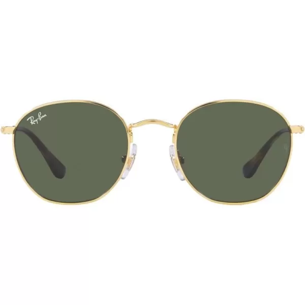 RayBan Kids Rj9572s Rob Round SunglassesGoldDark Green