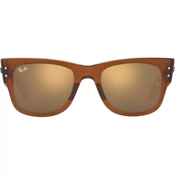 RayBan RB0840s Mega Wayfarer Square SunglassesTransparent BrownLight Brown Mirrored Gold