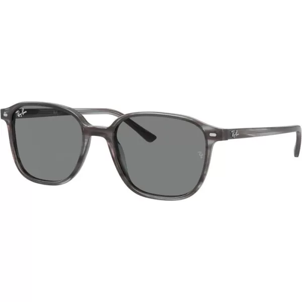 RayBan RB2193 Leonard Square SunglassesStriped GreyDark Grey