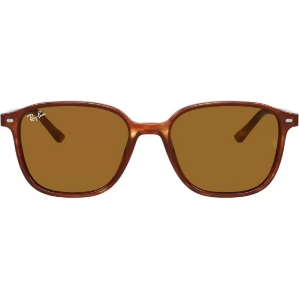 RayBan RB2193 Leonard Square SunglassesStriped HavanaB15 Brown