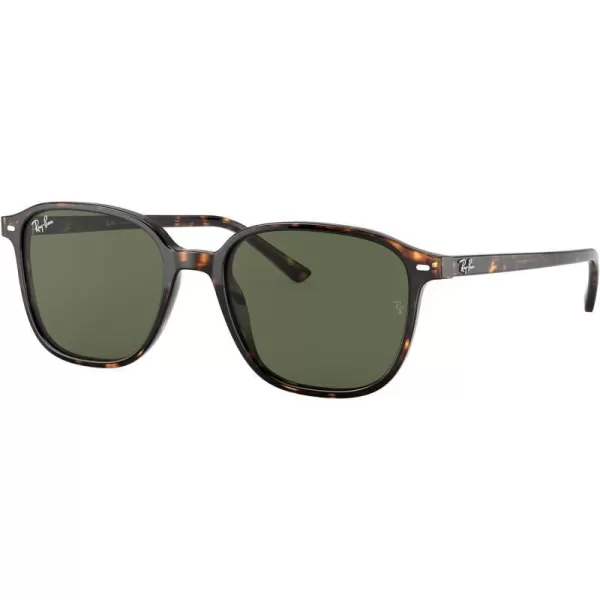 RayBan RB2193 Leonard Square SunglassesTortoiseG15 Green