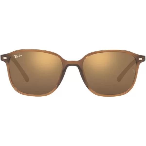 RayBan RB2193 Leonard Square SunglassesTransparent BrownLight Brown Mirrored Gold