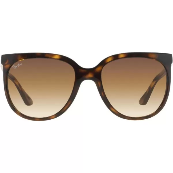 RayBan RB4126 Cats 1000 SunglassesLight HavanaClear Gradient Brown