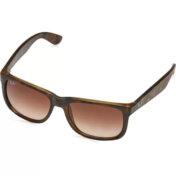 RayBan RB4165 Justin Rectangular SunglassesTortoise