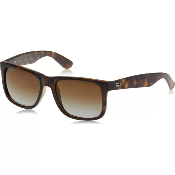 RayBan RB4165 Justin Square SunglassesRayBan RB4165 Justin Square Sunglasses