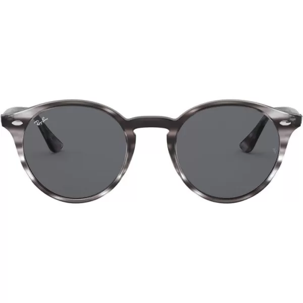 RayBan Rb2180 Round SunglassesStriped Grey HavanaDark Grey