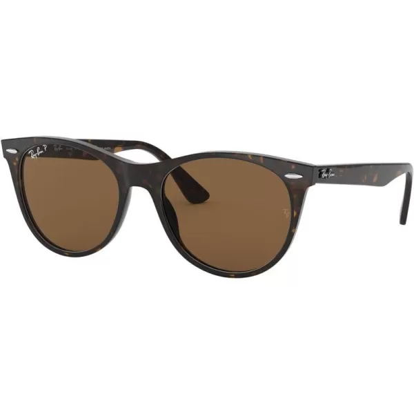 RayBan Rb2185 Wayfarer Ii Round SunglassesTortoiseB15 Brown Polarized