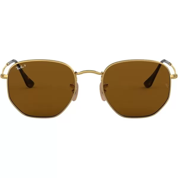 Gold/Polarized B-15 Brown