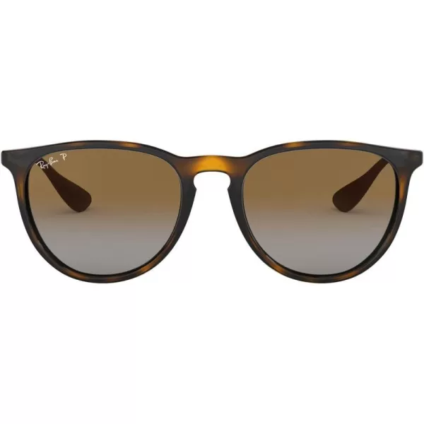 Light Havana/Polarized Grey Gradient Brown